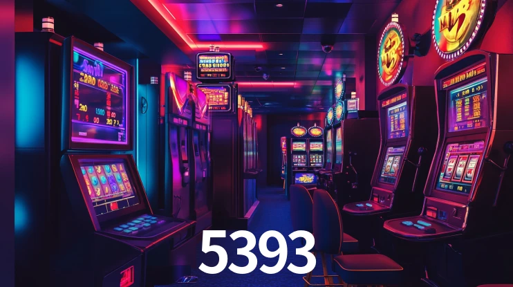 5393.com